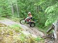 Leevi nousee